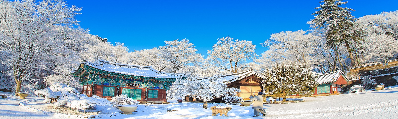 TOUR SEOUL MÙA ĐÔNG: TRẢI NGHIỆM TRƯỢT TUYẾT