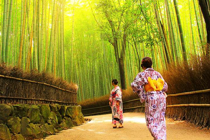 rừng tr&uacute;c Arashiyama