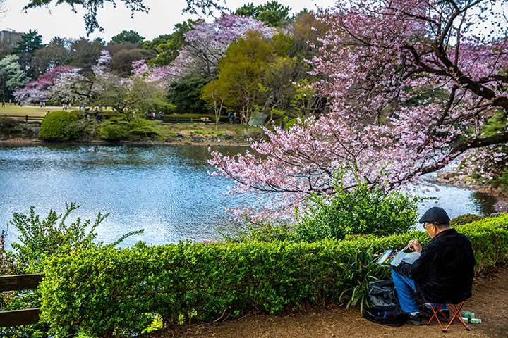 Shinjuku Gyoen