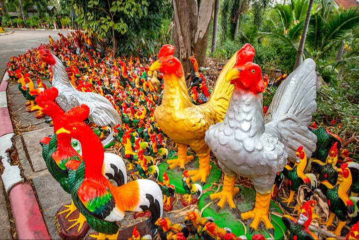  tượng đ&agrave;i Vua Naresuan tr&agrave;n ngập h&agrave;ng ngh&igrave;n tượng g&agrave; trống v&agrave; g&agrave; đ&aacute;