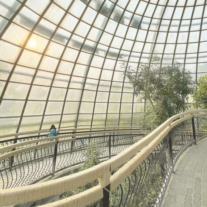 G&oacute;c nhỏ tuyệt đẹp trong vườn thực vật tại bảo t&agrave;ng