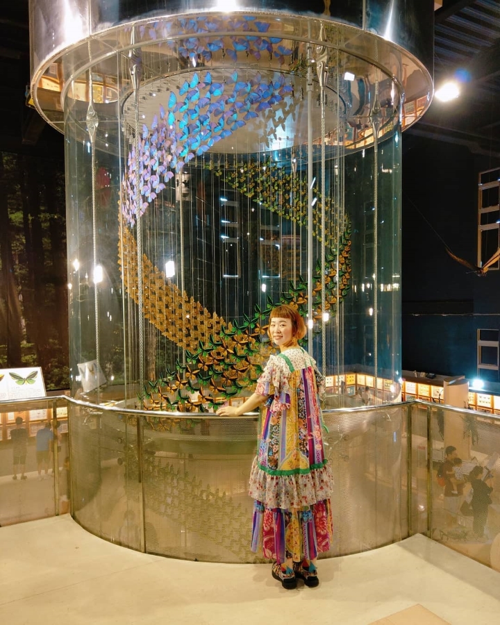 C&aacute;ch b&agrave;y tr&iacute; trong bảo t&agrave;ng cuốn h&uacute;t người tham quan