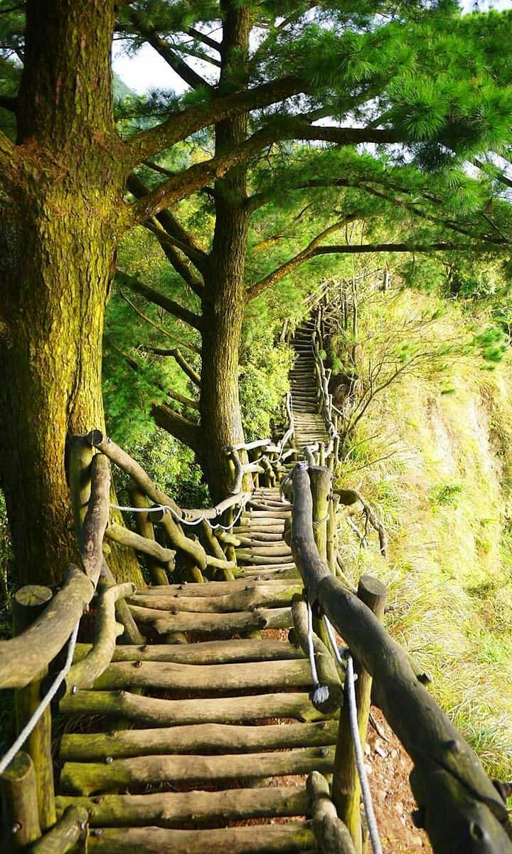 Hãy tạm quên đi những bộn bề cuộc sống và thả mình vào khung cảnh lễ ký kết hợp tác chiến lược f168 và liên minh okvip tuyệt đẹp này