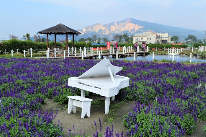 Lạc vào biển hoa ngút trời ở đảo ngọc Đài Loan