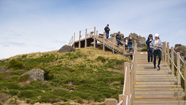 N&uacute;i Hallasan c&oacute; địa h&igrave;nh th&iacute;ch hợp để đi bộ đường d&agrave;i