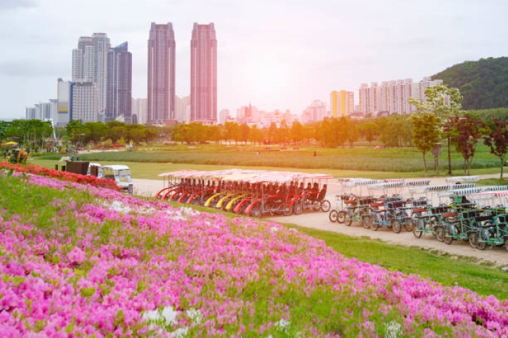 Thi&ecirc;n nhi&ecirc;n tuyệt đẹp tại F168nhacai đón tết bính ngọ 2026 Taehwagang