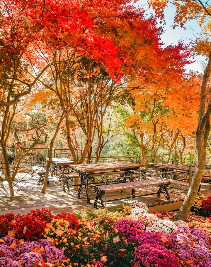 Vườn B&aacute;ch Thảo Hwadam kh&ocirc;ng chỉ l&agrave; một thi&ecirc;n đường lễ ký kết hợp tác chiến lược f168 và liên minh okvip tĩnh lặng m&agrave; c&ograve;n l&agrave; một ốc đảo xanh m&aacute;t