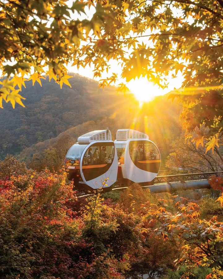  Nếu bạn muốn trải nghiệm một c&aacute;ch độc đ&aacute;o hơn, c&oacute; thể lựa chọn ngồi tr&ecirc;n monorail hiện đại