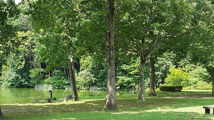 Igashira Park: Thi&ecirc;n đ&agrave;ng cho những người y&ecirc;u chim