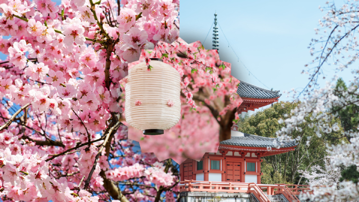 Vẻ đẹp m&ugrave;a xu&acirc;n Quatangf168 tải ứng dụng