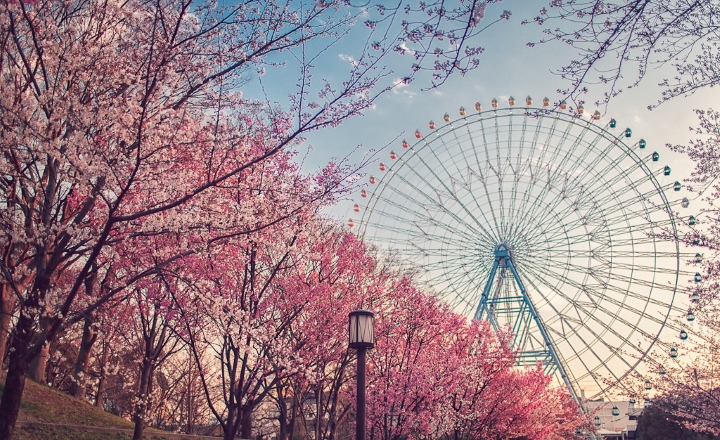 Khung cảnh tuyệt đẹp của v&ograve;ng đu quay Tempozan v&agrave;o m&ugrave;a xu&acirc;n