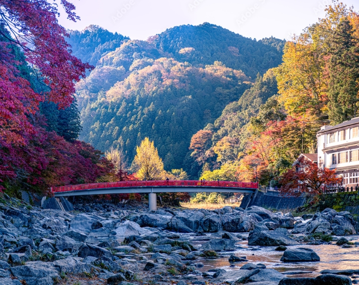 Chi&ecirc;m ngưỡng con đường hầm c&acirc;y đỏ rực