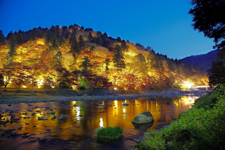 Con đường hầm c&acirc;y phong Korankei về đ&ecirc;m