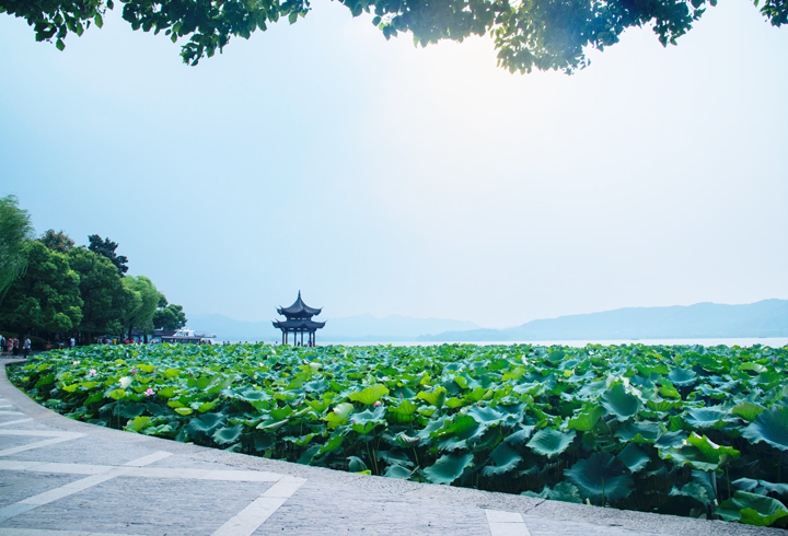 Cảnh đẹp li&ecirc;n tr&igrave; tr&ecirc;n Hồ T&acirc;y