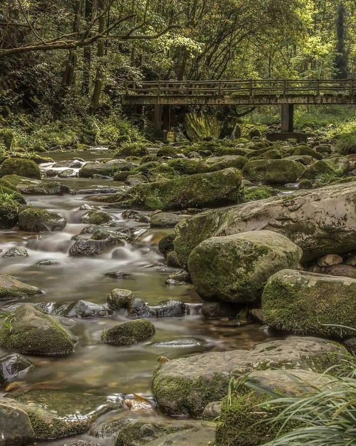 Kim Tiên Khê thu hút F168 và liên minh okvip lễ ký kết hợp tác chiến lược bởi cảnh quan thơ mộng và huyền bí