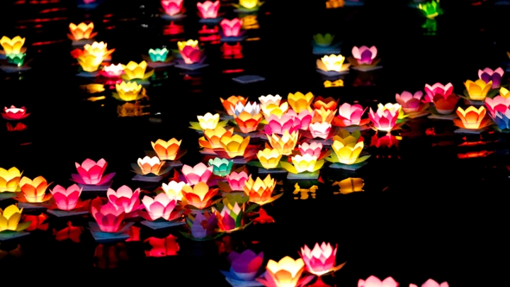 Thả hoa đăng vào Tết Nguyên Tiêu