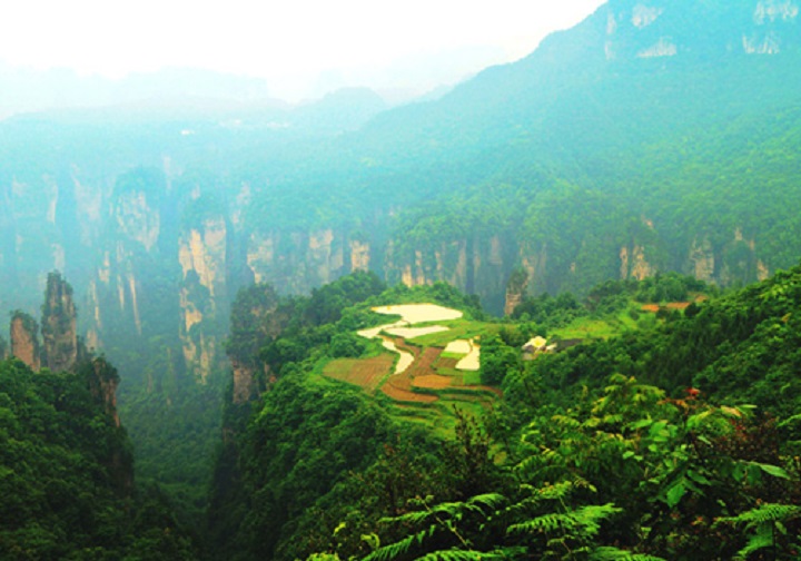 Ruộng tr&ecirc;n kh&ocirc;ng trung