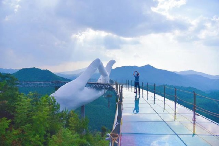 C&acirc;y cầu của Ti&ecirc;n tử