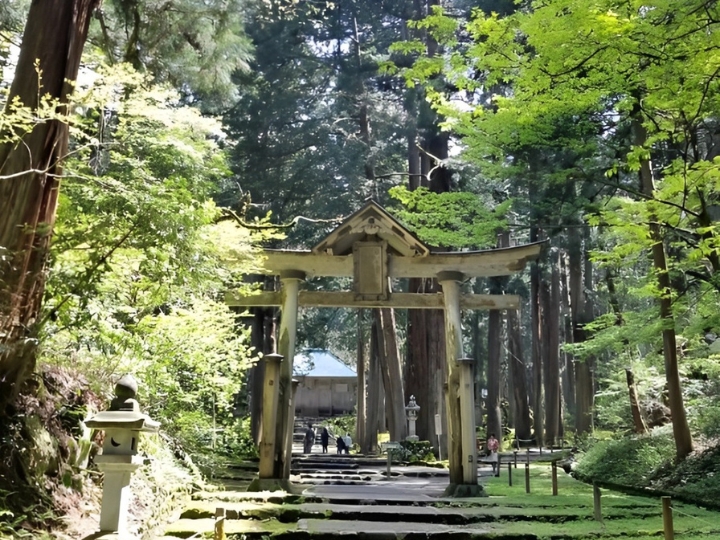 Con đường dẫn tới đền Heisenji Hakusan được bao quanh bởi hai h&agrave;ng tuyết t&ugrave;ng h&agrave;ng ngh&igrave;n tuổi&nbsp;