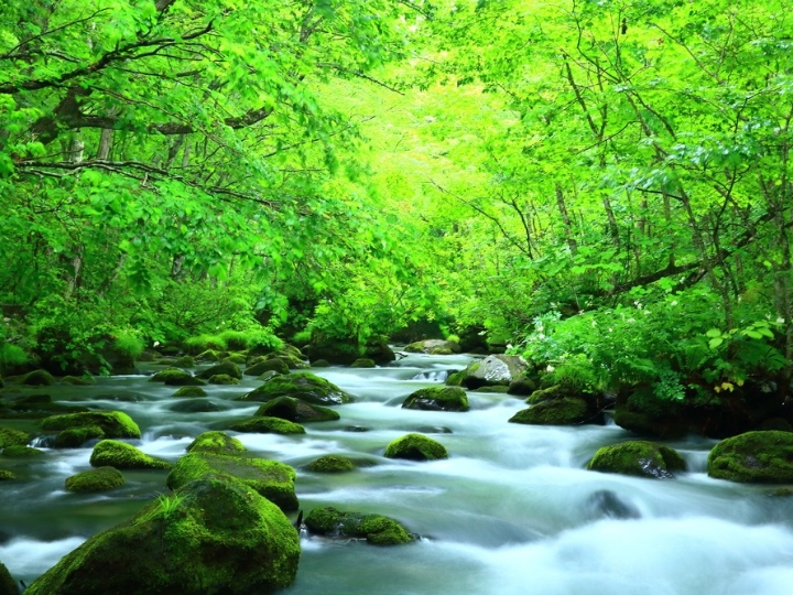 D&ograve;ng suối Oirase Keiryu đẹp tựa bức tranh lễ ký kết hợp tác chiến lược f168 và liên minh okvip