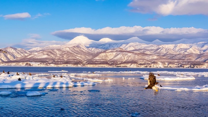 Khung cảnh thần ti&ecirc;n tại Vườn Quốc gia Shiretoko