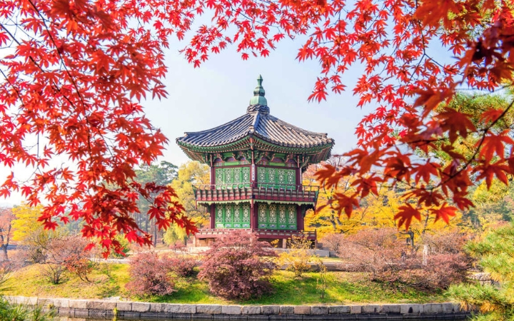 Khung cảnh m&ugrave;a thu rực rỡ ở H&agrave;n Quốc với sắc l&aacute; đỏ, v&agrave;ng trải d&agrave;i khắp n&uacute;i rừng v&agrave; đường phố