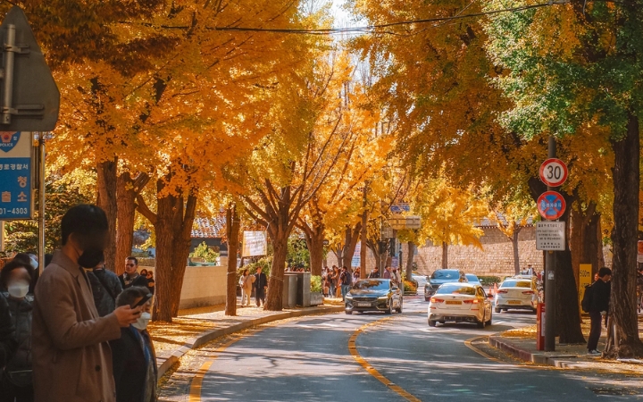 H&agrave;ng c&acirc;y b&ecirc;n đường dần chuyển v&agrave;ng khiến những con phố ở khu Samcheong Dong c&agrave;ng th&ecirc;m l&atilde;ng mạn