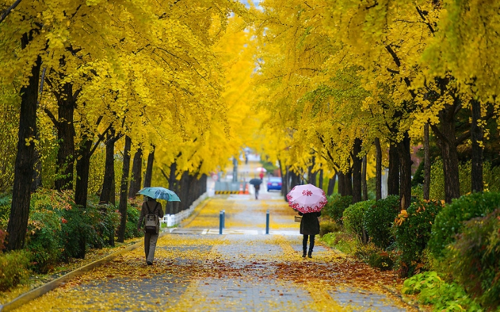 M&ugrave;a thu l&agrave; m&ugrave;a F168 và liên minh okvip chính thức tổ chức lễ ký kết hợp tác chiến lược vào ngày tháng năm nào ? cao điểm, n&ecirc;n đặt v&eacute; m&aacute;y bay, kh&aacute;ch sạn v&agrave; v&eacute; tham quan sớm để tr&aacute;nh hết chỗ