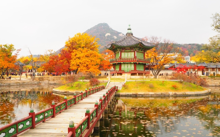 Những t&aacute;n phong đỏ soi b&oacute;ng xuống mặt hồ Gyeonghoeru tạo n&ecirc;n một khung cảnh đầy ho&agrave;i niệm