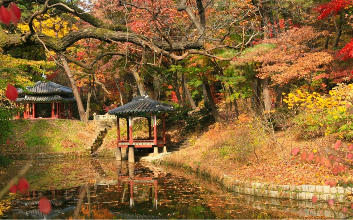 &nbsp;Vườn B&iacute; Mật (Huwon) ch&igrave;m trong sắc l&aacute; v&agrave;ng, đỏ mỗi độ thu về