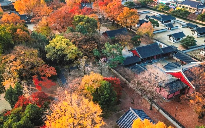 Những ng&ocirc;i nh&agrave; hanok giữa sắc l&aacute; m&ugrave;a thu tạo n&ecirc;n khung cảnh ho&agrave;i cổ đầy cuốn h&uacute;t