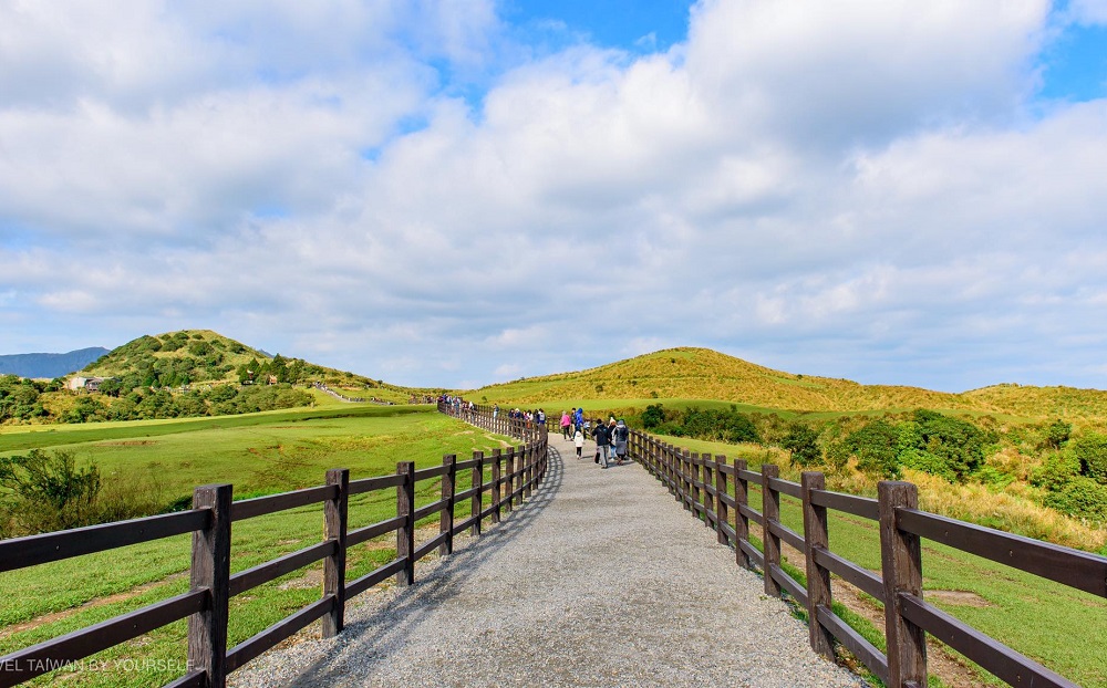 Đồng cỏ Thanh Thiên Cương trải dài xanh mướt