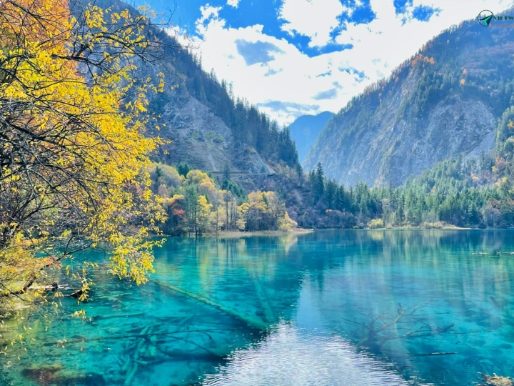 Cảnh sắc mùa thu với những tán lá chuyển màu vàng tại Cửu Trại Câu