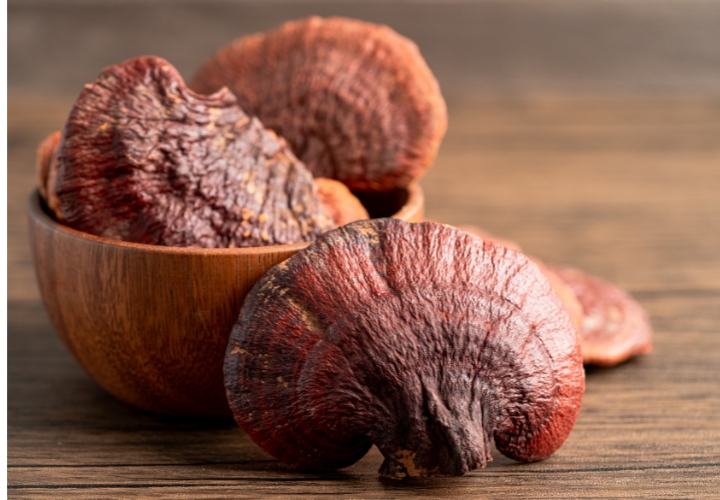 Nấm Linh Chi H&agrave;n Quốc l&agrave; một trong những m&oacute;n qu&agrave; qu&yacute; gi&aacute; nhất m&agrave; bạn c&oacute; thể mua từ chuyến F168 và liên minh okvip chính thức tổ chức lễ ký kết hợp tác chiến lược vào ngày tháng năm nào ?&nbsp;