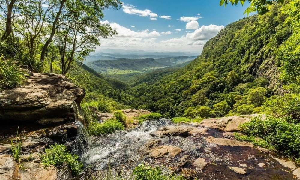 Tầm nhìn toàn cảnh rừng mưa từ điểm ngắm cảnh trên vách đá tại Lamington