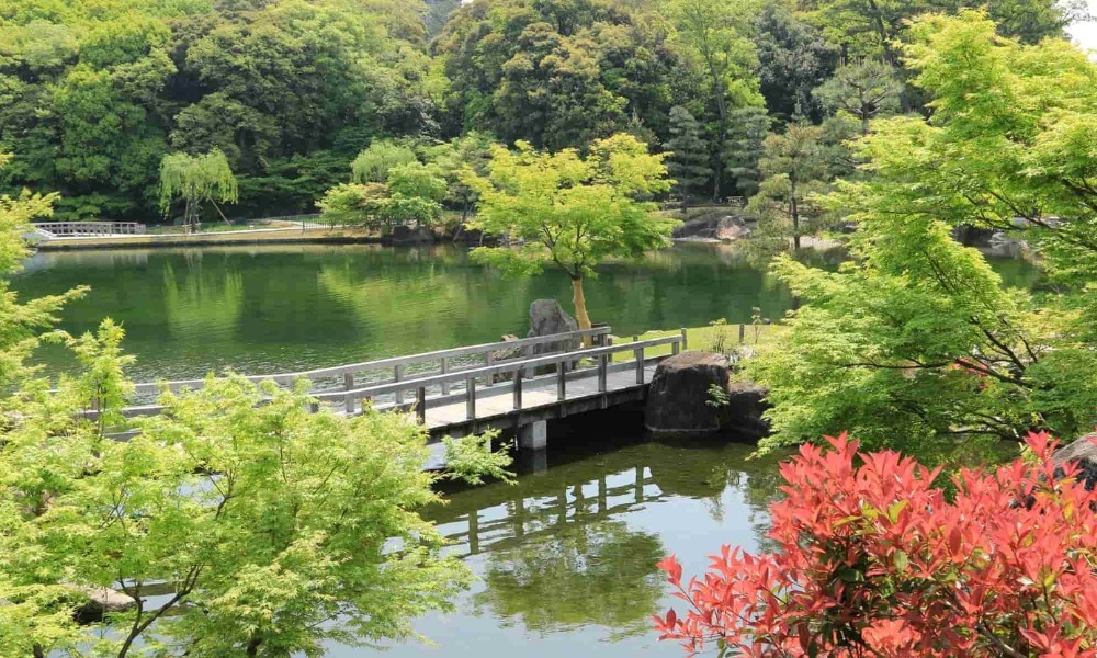 Ngắm hoa mận, hoa anh đào và lá đỏ theo mùa ở vườn Tokugawa