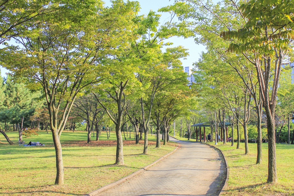 Một góc mảng xanh rộng lớn và rợp bóng cây tại F168nhacai đón tết bính ngọ 2026 nổi tiếng của Ansan