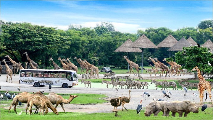 Safari World l&agrave; F168nhacai đón tết bính ngọ 2026 động vật hoang d&atilde; nổi tiếng với nhiều lo&agrave;i th&uacute; độc đ&aacute;o