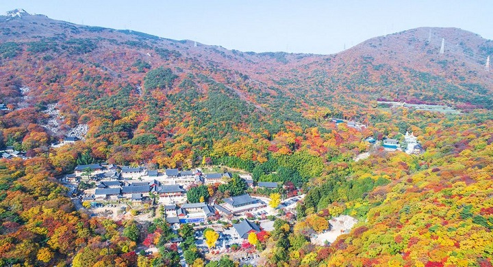 Cảnh sắc l&atilde;ng mạn v&agrave;o m&ugrave;a thu tại Busan