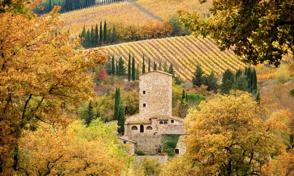 M&ugrave;a thu rực rỡ với vườn nho v&agrave; lễ hội thu hoạch truyền thống tại Tuscany