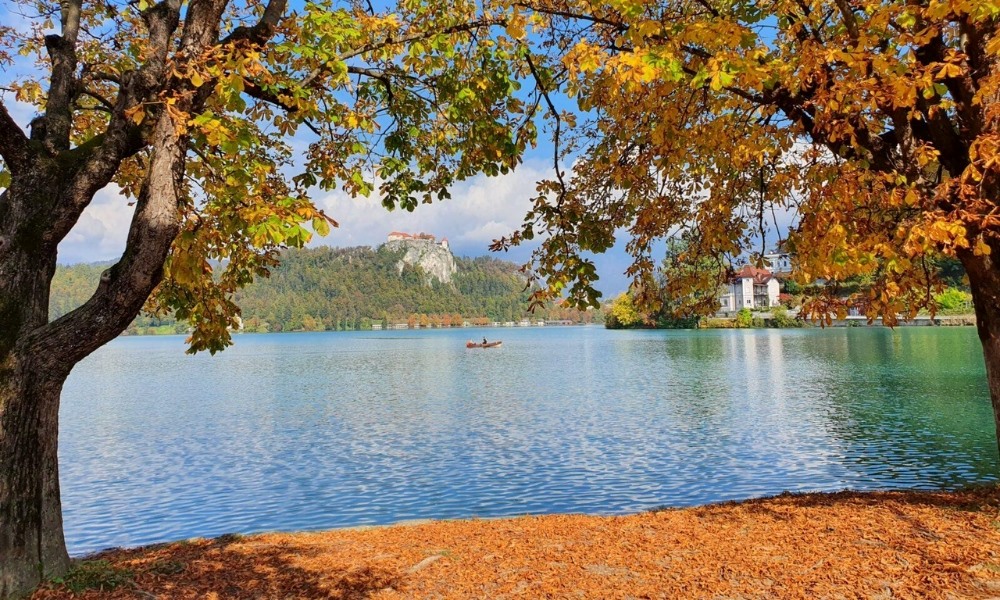 Hồ Bled rực rỡ m&ugrave;a thu với đảo nhỏ cổ k&iacute;nh v&agrave; cảnh sắc n&ecirc;n thơ