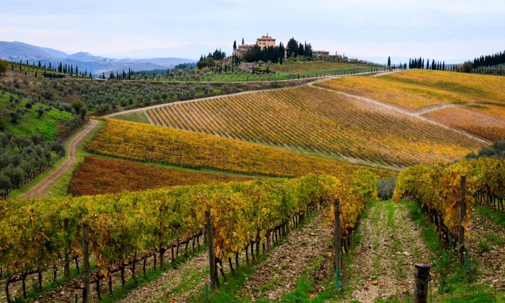 Tuscany th&aacute;ng 10 l&agrave; m&ugrave;a thu hoạch rượu vang v&agrave; &ocirc;liu giữa sắc thu v&agrave;ng đỏ
