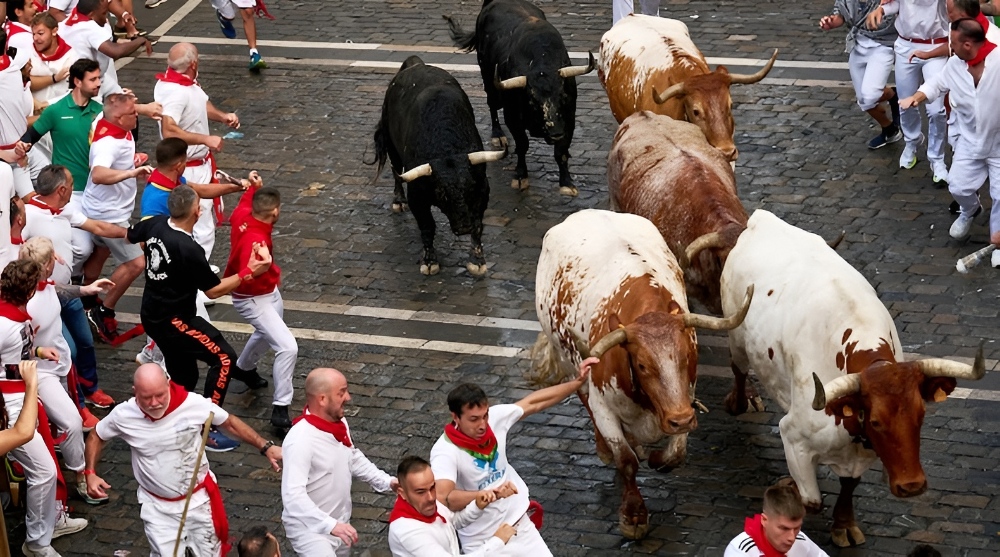 Người d&acirc;n mặc &aacute;o trắng đỏ chạy c&ugrave;ng b&ograve; t&oacute;t tr&ecirc;n đường phố Pamplona trong lễ hội San Fermin