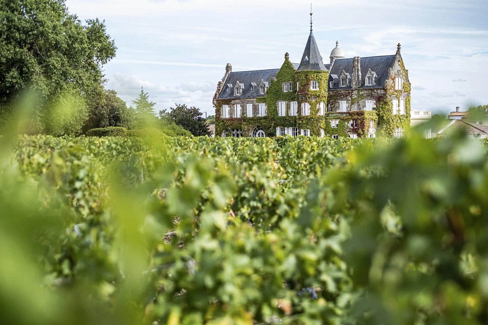 Khung cảnh yên bình tại một château ở Bordeaux trong mùa thu hoạch nho tháng 9