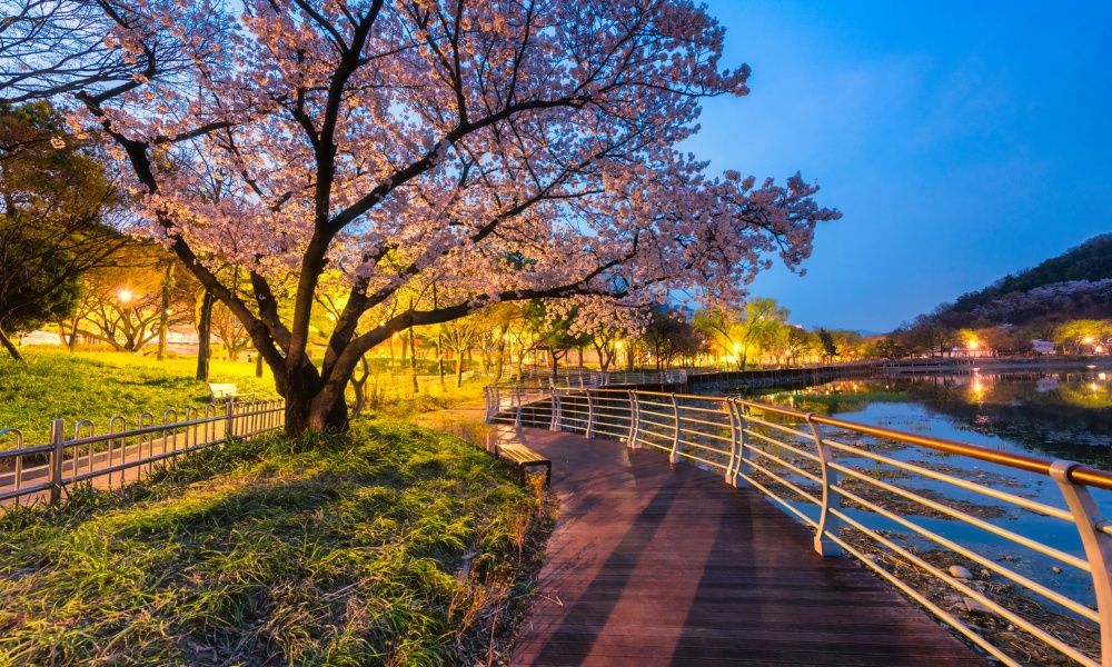 Lối dạo bộ bên bờ hồ yên ả lý tưởng để thư giãn cuối ngày