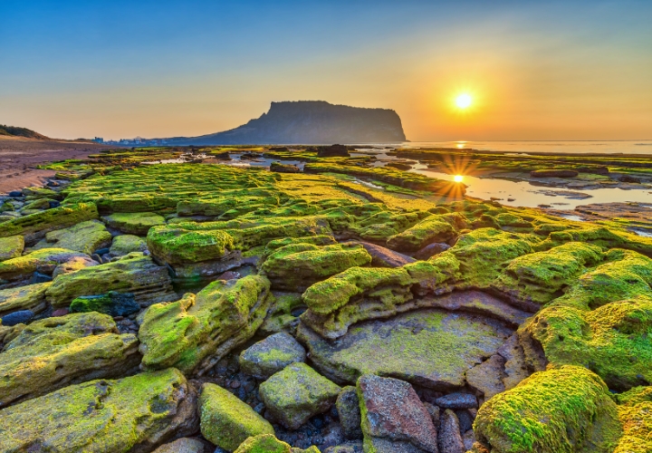 Jeju được mệnh danh l&agrave; Hawaii của H&agrave;n Quốc&nbsp;