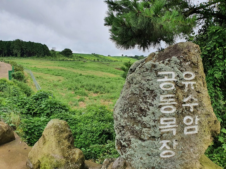L&agrave;ng Yusuam l&agrave; một ng&ocirc;i l&agrave;ng nhỏ nằm ven sườn n&uacute;i tr&ecirc;n đảo Jeju