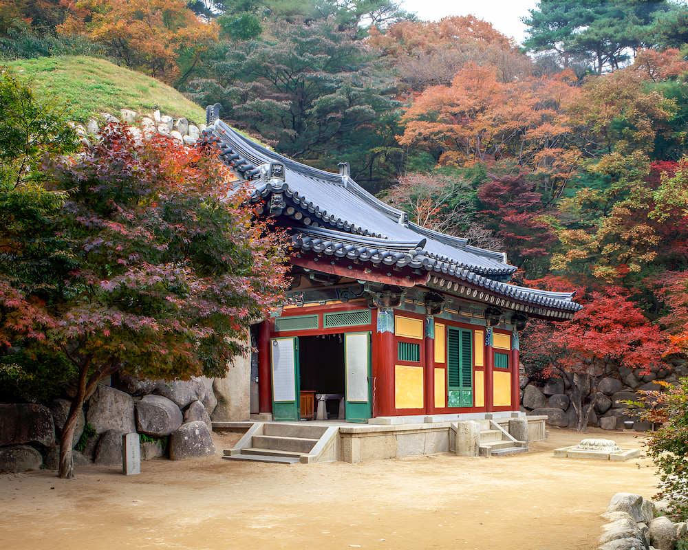 Vẻ đẹp lãng mạn của Gyeongju mùa thu với sắc lá vàng đỏ bao phủ