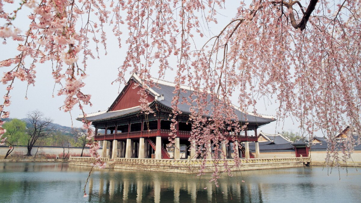 Cung điện cổ kính nhất Seoul, chứng nhân quyền uy của triều đại Joseon