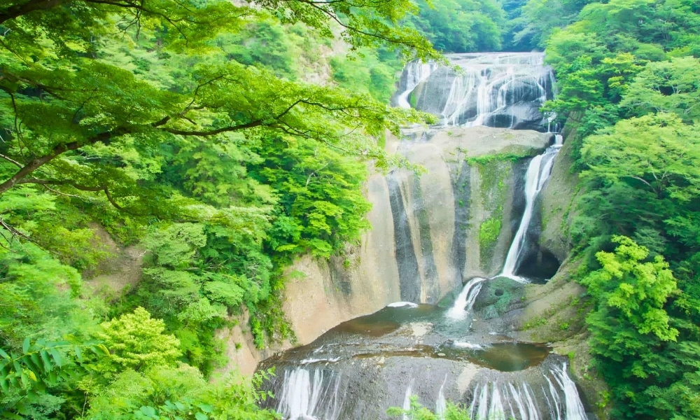 Th&aacute;c nước Fukuroda h&ugrave;ng vĩ nằm giữa n&uacute;i rừng xanh bạt ng&agrave;n